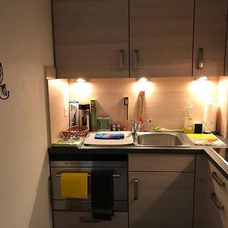 Beautiful 2.5 Room Apartment In Люцерн Екстериор снимка