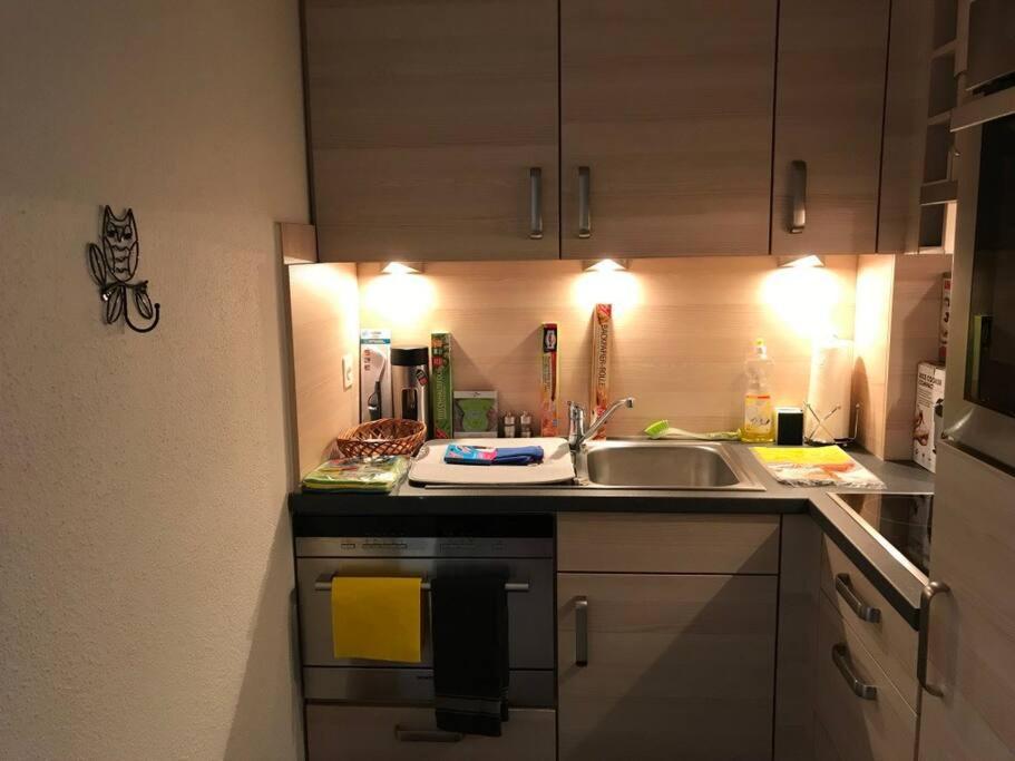 Beautiful 2.5 Room Apartment In Люцерн Екстериор снимка