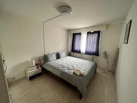 Beautiful 2.5 Room Apartment In Люцерн Екстериор снимка